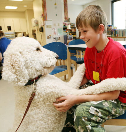 Dog Visitation Program at Cincinnati Children's.